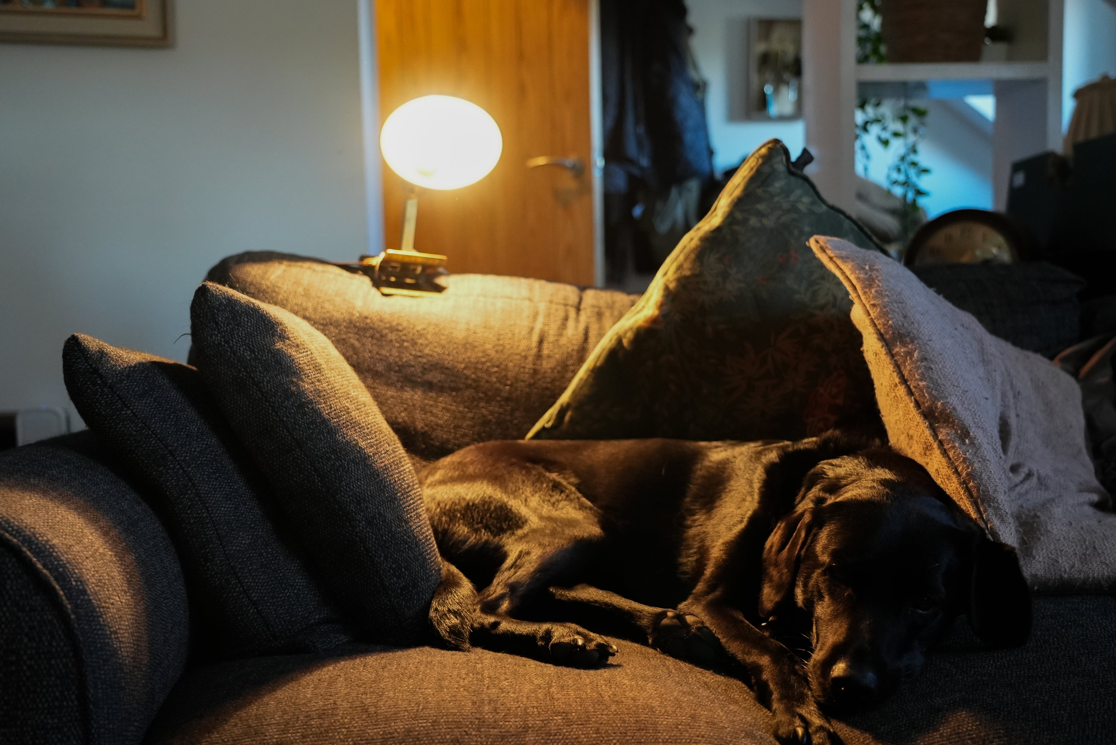 Brass Adjusto-Lite USA Desk Clip-On Lamp